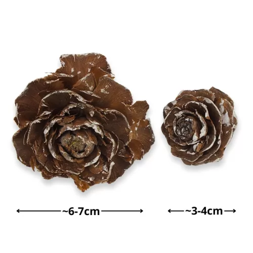 Cédrus rózsa havas 8db/csomag