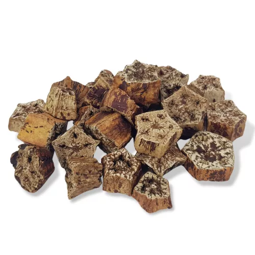 Mahagony szelet termés