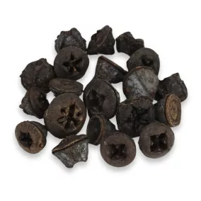 Eukaliptusz termés 20db/cs