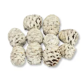 Toboz hamvas 10db/csomag