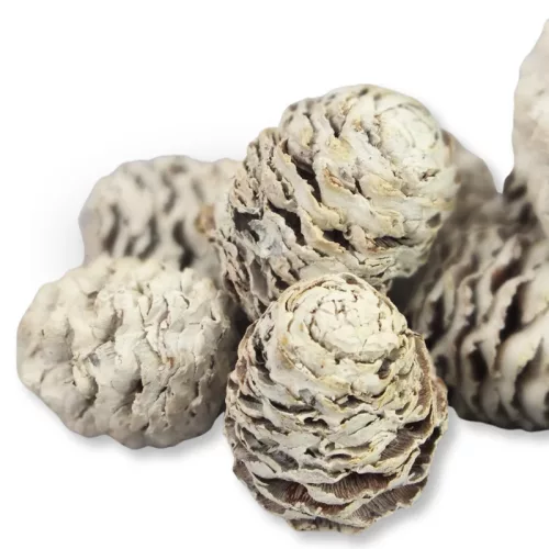 Toboz hamvas 10db/csomag