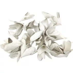 Háncsvirág hosszú fehér 45g/cs