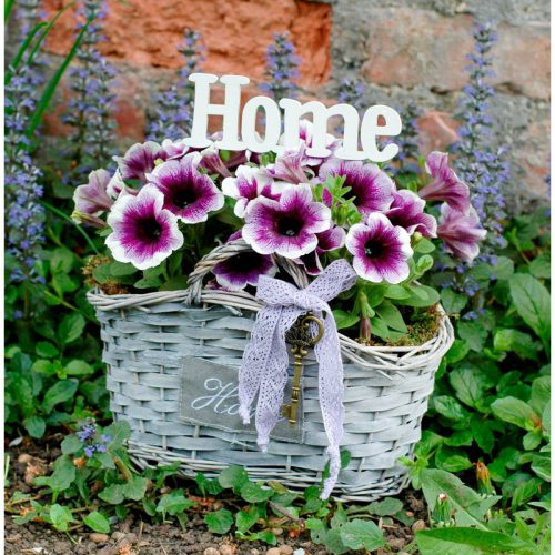 Natúr fa - "Home" felirat 15cm 2db/csomag