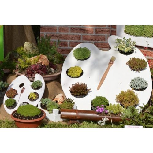 Natúr fa - Paletta 17,5x24cm