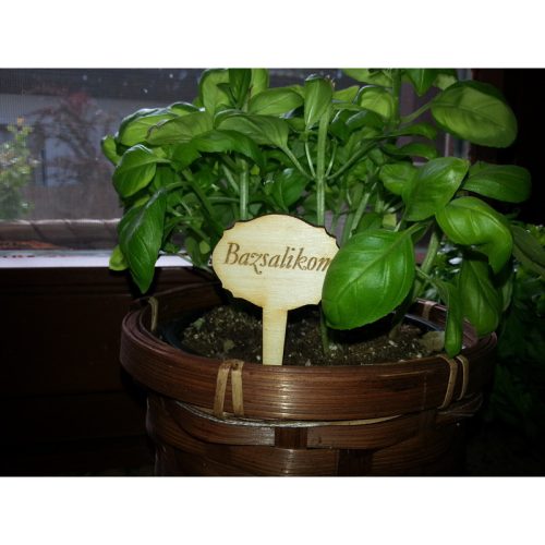 Natúr fa - Táblák fűszernövények beszúrós 4x9cm 10db/csomag