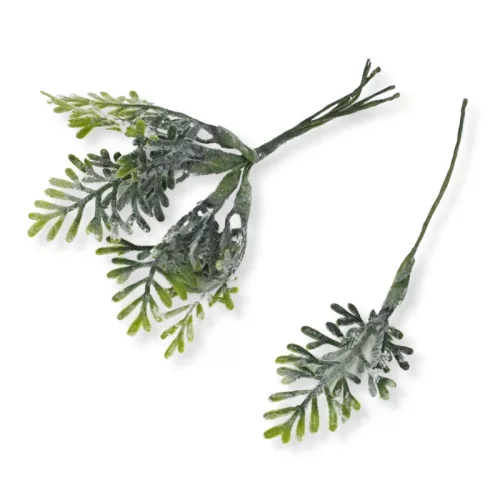 Hamvas zöld pajzsika pick 6 szálas 10db/csomag