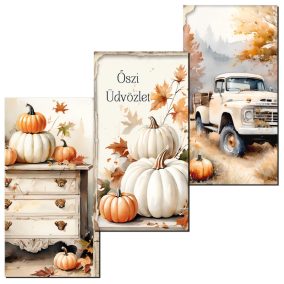   Nyomtatott dekorkarton - Fehér-narancs tök táblák 3db/csomag