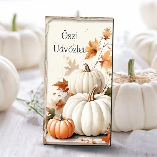 Nyomtatott dekorkarton - Fehér-narancs tök táblák 3db/csomag