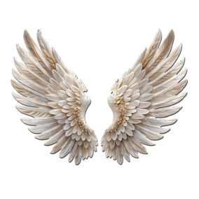 Nyomtatott dekorkarton - Angyalszárny 2db/szett