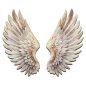 Nyomtatott dekorkarton - Angyalszárny 2db/szett