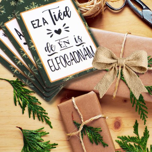 Nyomtatott dekorkarton - Ajándék kísérő táblák humoros 4db/csomag