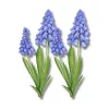 Nyomtatott dekorkarton - Muscari 2db/csomag