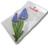 Nyomtatott dekorkarton - Muscari 2db/csomag