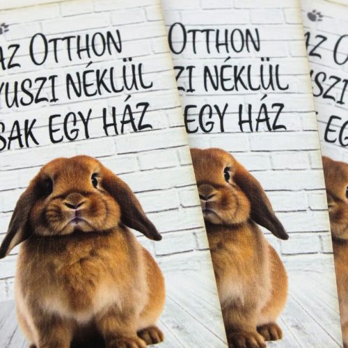 Nyomtatott dekorkarton - Az otthon nyuszi nélkül 3db/csomag