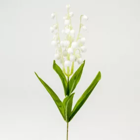 Szálas gyöngyvirág