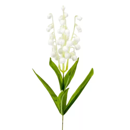 Szálas gyöngyvirág