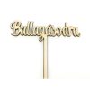 Natúr fa - Beszúrós " Ballagásodra" felirat 23cm
