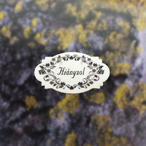 Nyomtatott dekorkarton - hiányzol 5db/cs