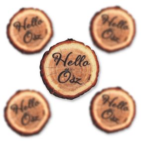 Nyomtatott dekorkarton - Hello Ősz fakorong 5db/csomag