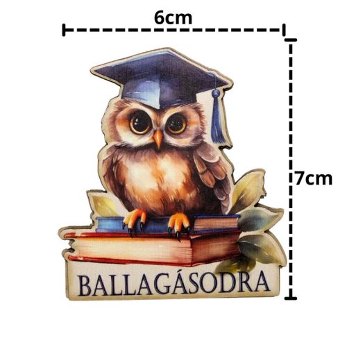 Nyomtatott dekorkarton - Ballagásodra bagoly tábla 3db