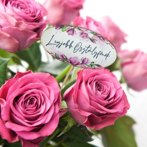 Nyomtatott dekorkarton - Legjobb osztályfőnök ovál tábla 3db