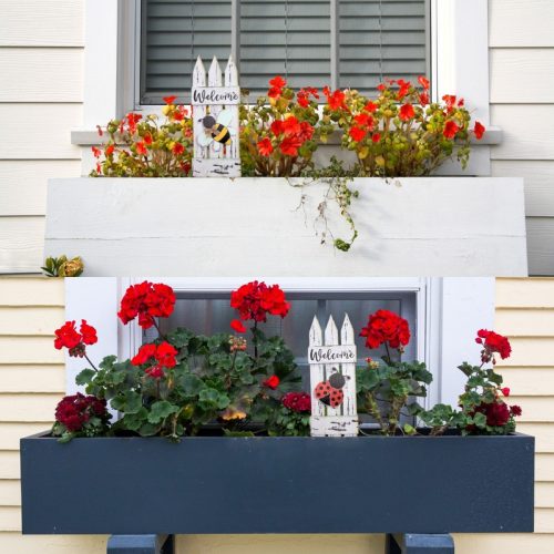 Nyomtatott dekorkarton - Fehér kerítés méhecskével 2db/csomag