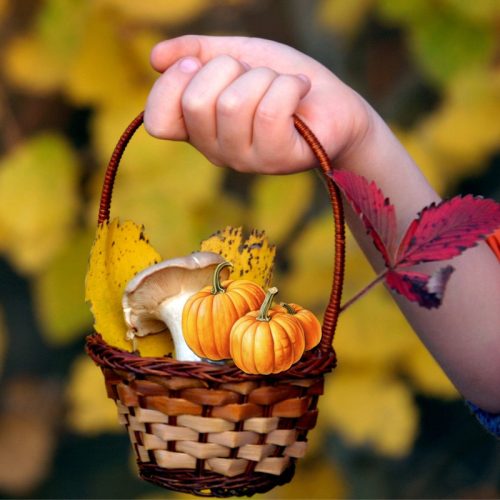 Nyomtatott dekorkarton - Tökök 2db/csomag