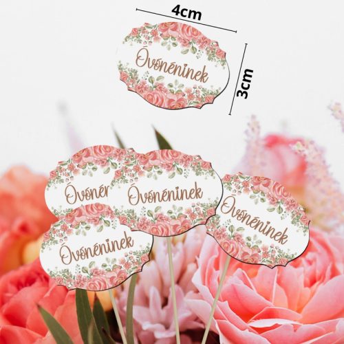 Nyomtatott dekorkarton - Óvónéninek táblák 5db