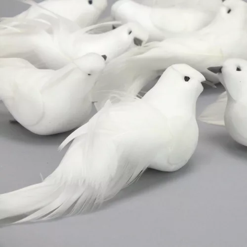 Fehér galamb 12db/doboz