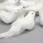 Fehér galamb 12db/doboz