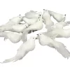 Fehér galamb 12db/doboz