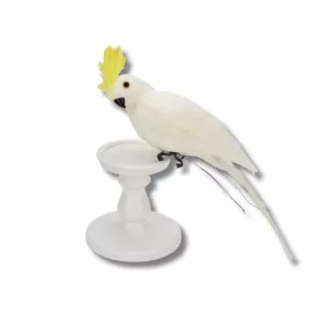 Papagáj fehér 36cm