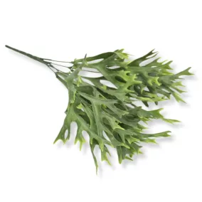 Szarvasagancs páfrány