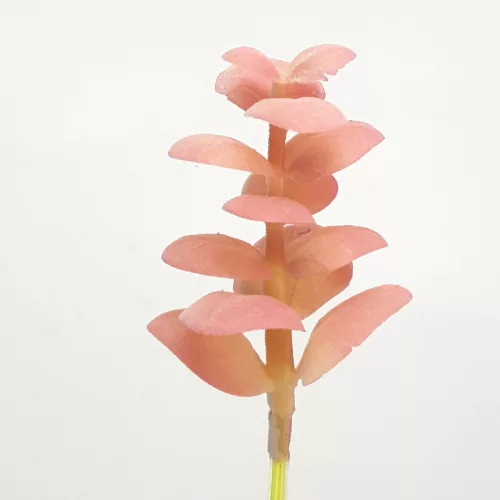 Pozsgás műnövény