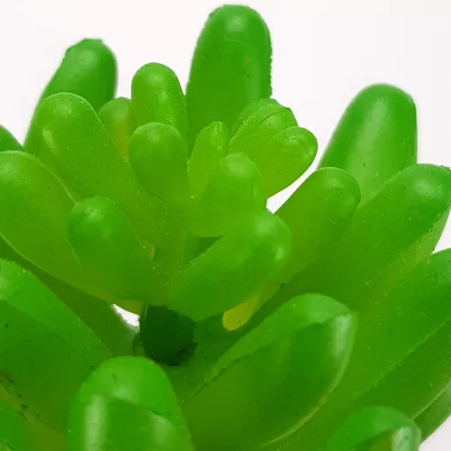 Pozsgás műnövény