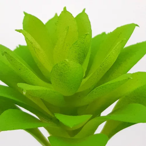 Pozsgás műnövény