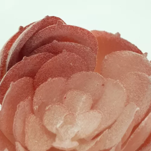 Pozsgás műnövény