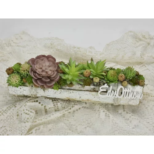 Pozsgás műnövény