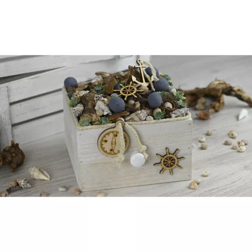 Vegyes csigák 4-6cm 10dkg/csomag