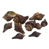 Barna csiga 4,5-7cm 10dkg/csomag