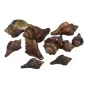Barna csiga 4,5-7cm 10dkg/csomag