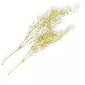   Hosszúlevelű asparagus csillámos arany 2db/csomag - KIFUTÓ