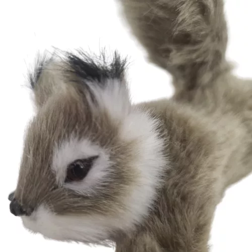 Ágaskodó mókus prémium