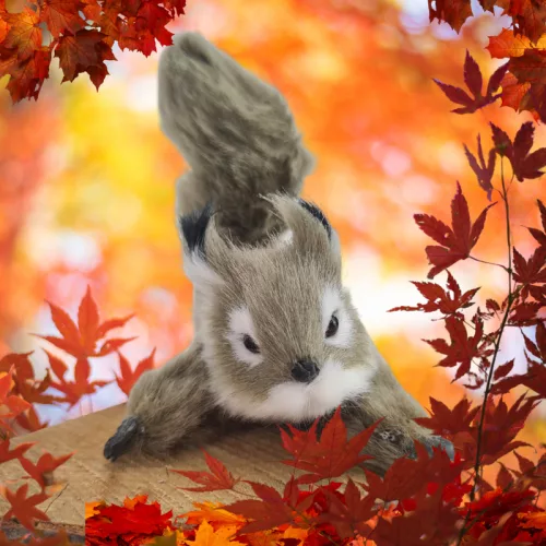 Ágaskodó mókus prémium