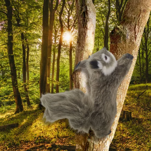 Ágaskodó mókus prémium