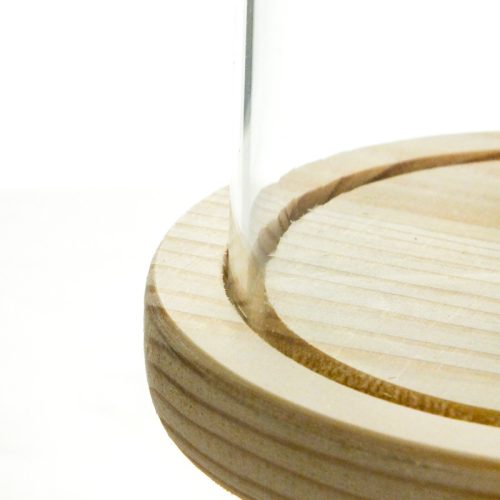 Üvegbúra fa talppal 11*15cm