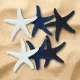 Tengeri csillag csomag 6db/csomag