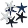Tengeri csillag csomag 6db/csomag