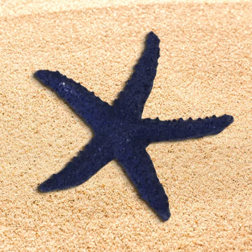 Tengeri csillag csomag 6db/csomag