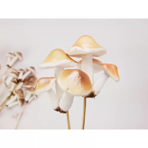 Pálcikás gomba dekoráció fényes 12db/dob